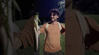 Sight Fishing Dragons On The Bank 🐉 snakehead fishing florida viralvideo shorts [upl. by Ttesil]