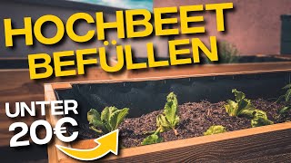 Hochbeet für 20€ richtig befüllen und bepflanzen [upl. by Aineles57]