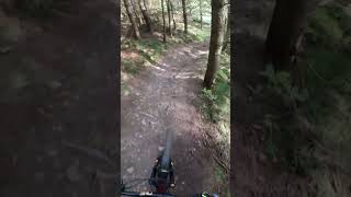 Lombard Street Glentress MTB Trail Part 2 [upl. by Iclehc]