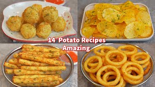 14 Amazing Potato Recipes Collections  French Fries  Potato Chip  Potato Snack Potato Sticks [upl. by Gurolinick]