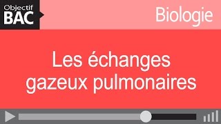 la respiration chez lhomme 🔺 Résumé du cours 🔺 svt 3ac [upl. by Karoline]