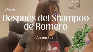 Resultado del shampoo con Romero [upl. by Trevar58]