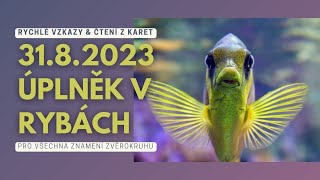 3182023 Úplněk v Rybách  Rychlé vzkazy pro všechna znamení zvěrokruhu vykladkaret barbraspirit [upl. by Wellesley278]