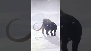 Why Woolly Mammoths Went Extinct and Why Theyre Coming Back [upl. by Ayekat]