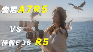 索尼A7R5 VS 佳能EOS R5 超详细拍照及视频对比评测 谁才是真正的R5 高像素旗舰王者 Sony a7R V vs Canon EOS R5 [upl. by Annwahsal]