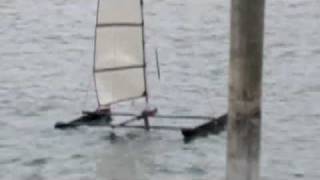 rc foiling catamaran testing [upl. by Elleryt]