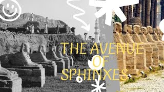 quot Unveiling the Secrets of the Avenue of Sphinxes in Luxor Egypt 🇪🇬quot Egypt AncientEgypt [upl. by Hairem]