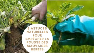 astuce herb mauvais 8 astuces naturelles pour empêcher la pousse des mauvaises herbes [upl. by Missy]