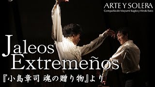 Jaleos extremeños【Soul gift from great flamenco teacher Shoji Kojima】 [upl. by Eojyllib]