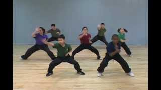 Shaolin Kung Fu Fundamental Training YMAA Dr Yang JwingMing [upl. by Yeldoow372]