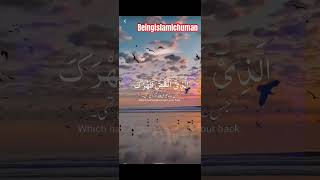 Alam nashra youtubeshorts islamicscholar duet [upl. by Nauqyaj]