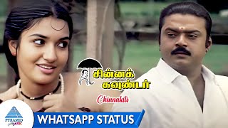 Chinnakili Whatsapp Status  Chinna Gounder Movie Songs  Vijayakanth  Sukanya  Ilaiyaraaja [upl. by Truitt]