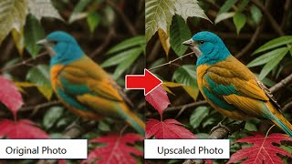 Discover the Best Free Image Upscaler AI Tools [upl. by Anilad]