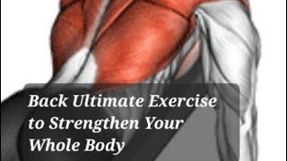 1 Back Exercise to Strengthen Your Whole Body [upl. by Vanny272]