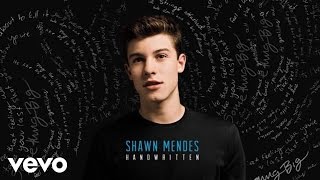 Shawn Mendes  Bring It Back Official Audio [upl. by Treblihp]