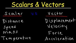 Scalars and Vectors [upl. by Leoni]