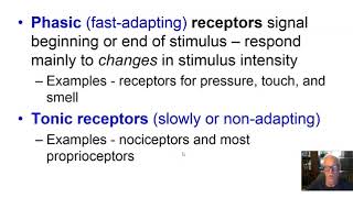 Ch 13 Part 1 Sensory Receptors [upl. by Nolaf]