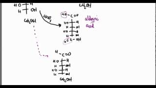 Carbohydrates 21 Oxidation Examples [upl. by Adikam]