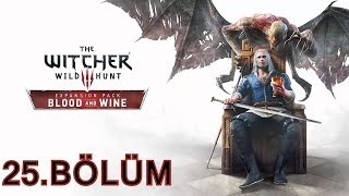 The Witcher 3  Blood And Wine  25 Bölüm Kiralık Şövalye ve Kutsal Görev  Türkçe Full HD [upl. by Neemsay603]