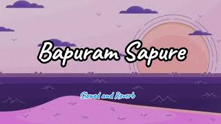 Bapuram Sapure LoFi SlowedReverb [upl. by Moser]