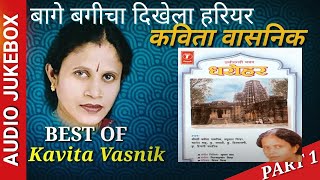 Bage Bagicha Dikhela Hariyar  Kavita Vasnik  बागे बगीचा दिखेला हरियर  कविता वासनिक [upl. by Sokem]