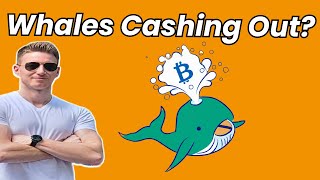 Crypto Whales Cash Out [upl. by Airel]