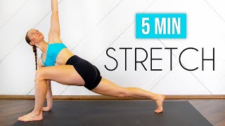 5 MIN DAILY STRETCH  An everyday full body routine for basic flexibility [upl. by Taryne]