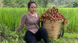 FULL VDEO 60 days of harvesting lychees melons amp agricultural products to go to the market to sell [upl. by Atse887]