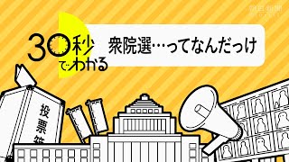 ３０秒でわかる！衆院選解説 仕組み編～そもそもどうなってるんだっけ～ [upl. by Frederigo624]