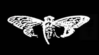 Cicada 3301 Explained  Part 4 2014 [upl. by Noitsirhc]