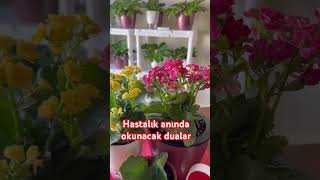 🔥PEYGAMBER EFENDİMİZ sav’ HASTALIKTA OKUDUĞU DUALAR dua shortvideo peygamberimiz short [upl. by Nnahgaem]