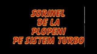 SORINEL DE LA PLOPENI PE SISTEM TURBO [upl. by Lonyer]