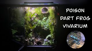 Poison Dart Frog Vivarium Build With waterfall mist and fan [upl. by Sotsirhc]