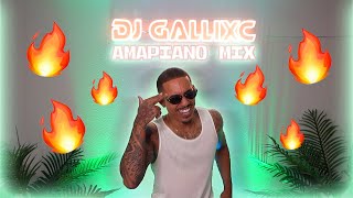 Amapiano Mix 2024  The Best of Amapiano 2024 by DJ GallixC [upl. by Fredella215]