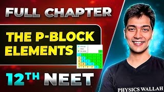 The PBlock Elements FULL CHAPTER  Class 12th In Organic Chemistry  Lakshya NEET [upl. by Pavla]