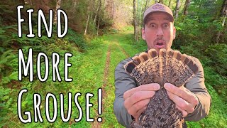 5 Tips to Find MORE GROUSE How to Grouse Hunt [upl. by Aznaed]