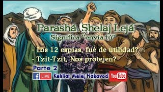 Parashá Shelaj Lejá Parte 2 [upl. by Nealah88]