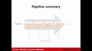 Genome Alignment [upl. by Eibot]