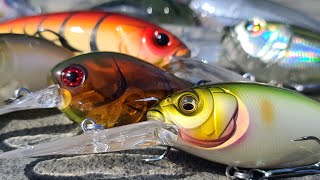 Fall and Winter Crankbait Fishing Beginner To Advanced  Full Seminar [upl. by Pironi]