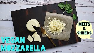 BEST Vegan Mozzarella Recipe  Cheese Review 2020  Creating a Magical Pizza [upl. by Dail]