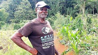 CAVEMAN LIVING IN JAMAICA SHOWS HIS FARM UPDATE [upl. by Eissirhc]