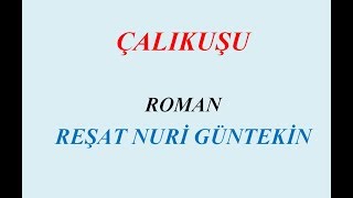 ÇALIKUŞU ROMAN ÖZET [upl. by Oidale]