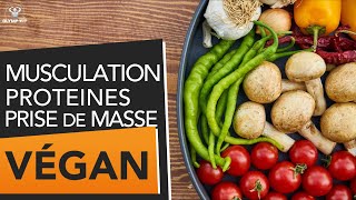 Conseils alimentaires vegan  prise de masse huile et protéine végétales soja et phytoœstrogènes [upl. by Odnumyar]