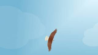 Cat Games — Games For Cats an EAGLE flies across the screen and screams [upl. by Jordison286]