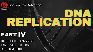 Proteins Involved in DNA Replication  DNA Replication  Part 4  Basics to Advance [upl. by Nare]