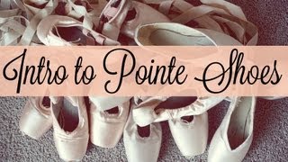 Intro to Pointe Shoes [upl. by Xino]