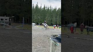 Arlo had a little victory lap after our round lol racehorse ottb ottbjumper showjumping horses [upl. by Dacie]