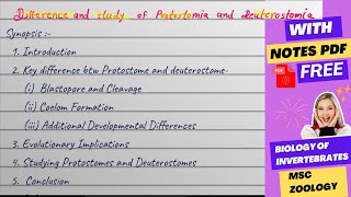 Difference and study of Protostomia and Deuterostomia Msc zoology notes [upl. by Sivam]