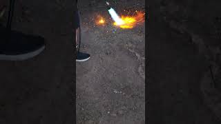 FLAMETHROWER Red Ant Treatment [upl. by Nifled]