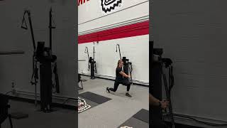 Split Stance Pallof Lift [upl. by Anni]